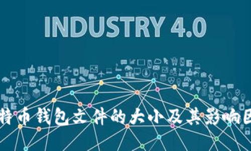 比特币钱包文件的大小及其影响因素