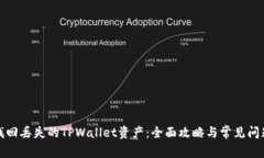 如何找回丢失的TPWallet资产：全面攻略