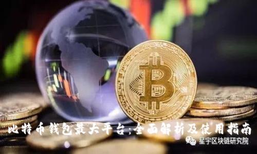 比特币钱包最大平台：全面解析及使用指南