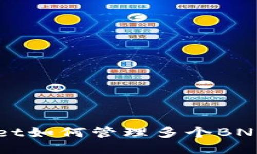 TPWallet如何管理多个BNB链账户