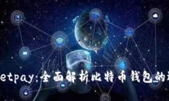 Instawalletpay：全面解析比特币钱包的选