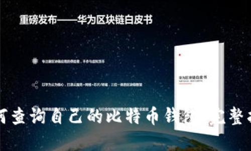 如何查询自己的比特币钱包：完整指南