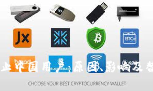 TPWallet禁止中国用户：原因、影响及替代方案分析