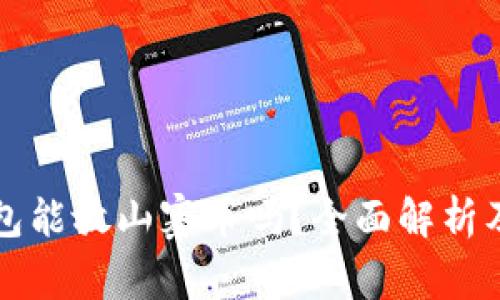 比特币钱包能放山寨币吗？全面解析及使用指南