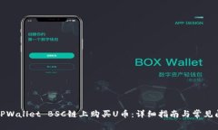 如何在TPWallet BSC链上购买U币：详细指