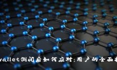 tpwallet倒闭后如何应对：用户的全面指